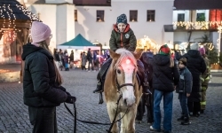 Bajkowy zamek w świątecznej odsłonie. Sobota pełna magii, w niedzielę kolejne atrakcje (18)