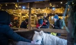 Bajkowy zamek w świątecznej odsłonie. Sobota pełna magii, w niedzielę kolejne atrakcje (1)