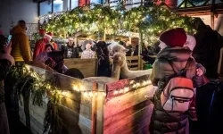 Bajkowy zamek w świątecznej odsłonie. Sobota pełna magii, w niedzielę kolejne atrakcje (1)