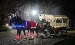 Bajkowy zamek w świątecznej odsłonie. Sobota pełna magii, w niedzielę kolejne atrakcje (9)