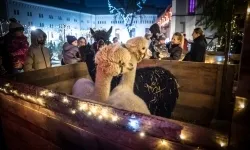 Bajkowy zamek w świątecznej odsłonie. Sobota pełna magii, w niedzielę kolejne atrakcje (2)