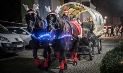 Bajkowy zamek w świątecznej odsłonie. Sobota pełna magii, w niedzielę kolejne atrakcje (10)