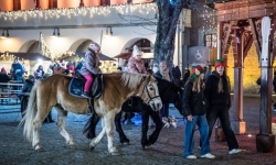 Bajkowy zamek w świątecznej odsłonie. Sobota pełna magii, w niedzielę kolejne atrakcje (14)