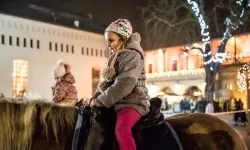 Bajkowy zamek w świątecznej odsłonie. Sobota pełna magii, w niedzielę kolejne atrakcje (15)