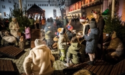 Bajkowy zamek w świątecznej odsłonie. Sobota pełna magii, w niedzielę kolejne atrakcje (19)