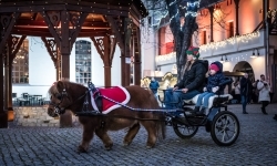 Bajkowy zamek w świątecznej odsłonie. Sobota pełna magii, w niedzielę kolejne atrakcje (20)