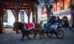 Bajkowy zamek w świątecznej odsłonie. Sobota pełna magii, w niedzielę kolejne atrakcje (20)