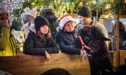 Bajkowy zamek w świątecznej odsłonie. Sobota pełna magii, w niedzielę kolejne atrakcje (2)