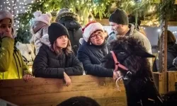 Bajkowy zamek w świątecznej odsłonie. Sobota pełna magii, w niedzielę kolejne atrakcje (2)