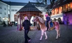 Bajkowy zamek w świątecznej odsłonie. Sobota pełna magii, w niedzielę kolejne atrakcje (4)