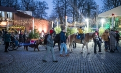 Bajkowy zamek w świątecznej odsłonie. Sobota pełna magii, w niedzielę kolejne atrakcje (5)