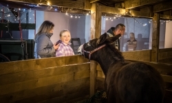 Bajkowy zamek w świątecznej odsłonie. Sobota pełna magii, w niedzielę kolejne atrakcje (9)