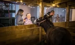 Bajkowy zamek w świątecznej odsłonie. Sobota pełna magii, w niedzielę kolejne atrakcje (9)