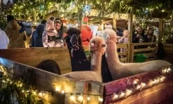 Bajkowy zamek w świątecznej odsłonie. Sobota pełna magii, w niedzielę kolejne atrakcje (18)