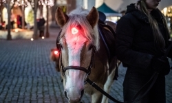 Bajkowy zamek w świątecznej odsłonie. Sobota pełna magii, w niedzielę kolejne atrakcje (5)