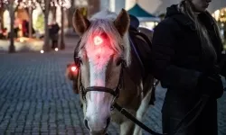 Bajkowy zamek w świątecznej odsłonie. Sobota pełna magii, w niedzielę kolejne atrakcje (5)