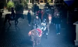 Bajkowy zamek w świątecznej odsłonie. Sobota pełna magii, w niedzielę kolejne atrakcje (3)