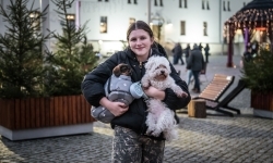 Bajkowy zamek w świątecznej odsłonie. Sobota pełna magii, w niedzielę kolejne atrakcje (4)