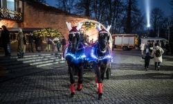 Bajkowy zamek w świątecznej odsłonie. Sobota pełna magii, w niedzielę kolejne atrakcje (11)