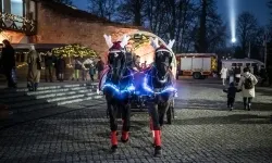 Bajkowy zamek w świątecznej odsłonie. Sobota pełna magii, w niedzielę kolejne atrakcje (11)