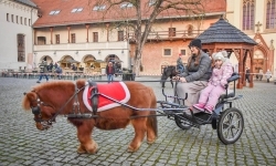 Prawdziwe oblężenie Zamku Piastowskiego. Bajkowy Zamek 2025 zakończony z rozmachem