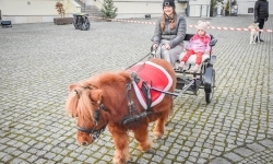 Prawdziwe oblężenie Zamku Piastowskiego. Bajkowy Zamek 2025 zakończony z rozmachem