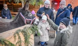 Prawdziwe oblężenie Zamku Piastowskiego. Bajkowy Zamek 2025 zakończony z rozmachem