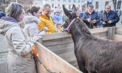 Prawdziwe oblężenie Zamku Piastowskiego. Bajkowy Zamek 2025 zakończony z rozmachem