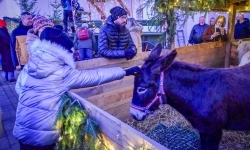 Prawdziwe oblężenie Zamku Piastowskiego. Bajkowy Zamek 2025 zakończony z rozmachem