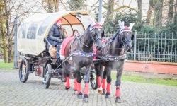 Prawdziwe oblężenie Zamku Piastowskiego. Bajkowy Zamek 2025 zakończony z rozmachem