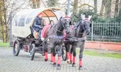 Prawdziwe oblężenie Zamku Piastowskiego. Bajkowy Zamek 2025 zakończony z rozmachem