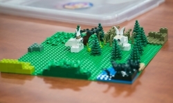 Ponad p&oacute;ł miliona klock&oacute;w na Zamku Piastowskim &ndash; ferie w Powiecie Raciborskim trwają (7)