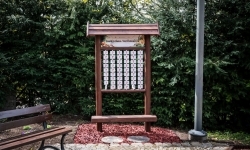 Projekt &bdquo;Odrarium &ndash; zamkowe ścieżki edukacyjne jako elementy małej architektury&rdquo; (13)