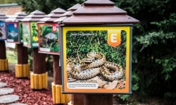 Projekt &bdquo;Odrarium &ndash; zamkowe ścieżki edukacyjne jako elementy małej architektury&rdquo; (4)