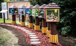 Projekt &bdquo;Odrarium &ndash; zamkowe ścieżki edukacyjne jako elementy małej architektury&rdquo; (6)