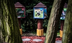 Projekt &bdquo;Odrarium &ndash; zamkowe ścieżki edukacyjne jako elementy małej architektury&rdquo; (7)