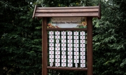 Projekt &bdquo;Odrarium &ndash; zamkowe ścieżki edukacyjne jako elementy małej architektury&rdquo; (8)