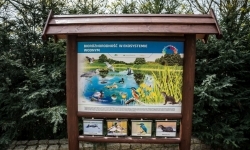 Projekt &bdquo;Odrarium &ndash; zamkowe ścieżki edukacyjne jako elementy małej architektury&rdquo; (9)