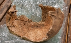 Archeologia na tropie tajemnic raciborskich Piast&oacute;w. Spotkanie w Zamku Piastowskim (15)