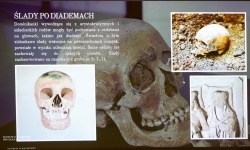 Archeologia na tropie tajemnic raciborskich Piast&oacute;w. Spotkanie w Zamku Piastowskim (18)