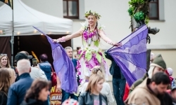 Szczudlarze i smok z grupy STEAM SHOW z Białorusi (8)