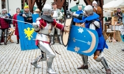 Walki rycerskie na Zamku Piastowskim (12)