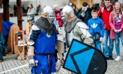 Walki rycerskie na Zamku Piastowskim (9)