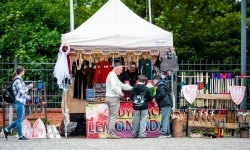 Migawki z II Festiwalu Średniowiecznego (11)