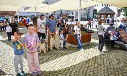 Wyjątkowe wydarzenie teatralne na scenie Zamku Piastowskiego w Raciborzu (6)