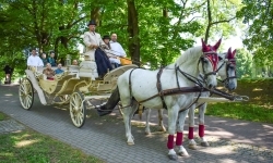 Pierwsze przejażdżki powozem z dziedzińca Zamku Piastowskiego alejkami Parku Zamkowego w Raciborzu już za nami (12)