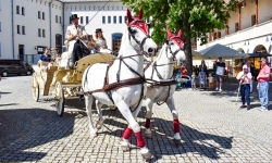 Pierwsze przejażdżki powozem z dziedzińca Zamku Piastowskiego alejkami Parku Zamkowego w Raciborzu już za nami (5)