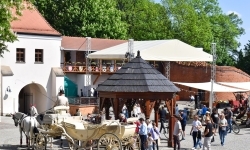 Pierwsze przejażdżki powozem z dziedzińca Zamku Piastowskiego alejkami Parku Zamkowego w Raciborzu już za nami (9)