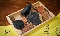 Podr&oacute;ż do epoki lodowcowej na Zamku Piastowskim za nami! (8)