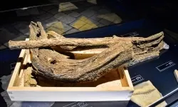 Podr&oacute;ż do epoki lodowcowej na Zamku Piastowskim za nami! (7)